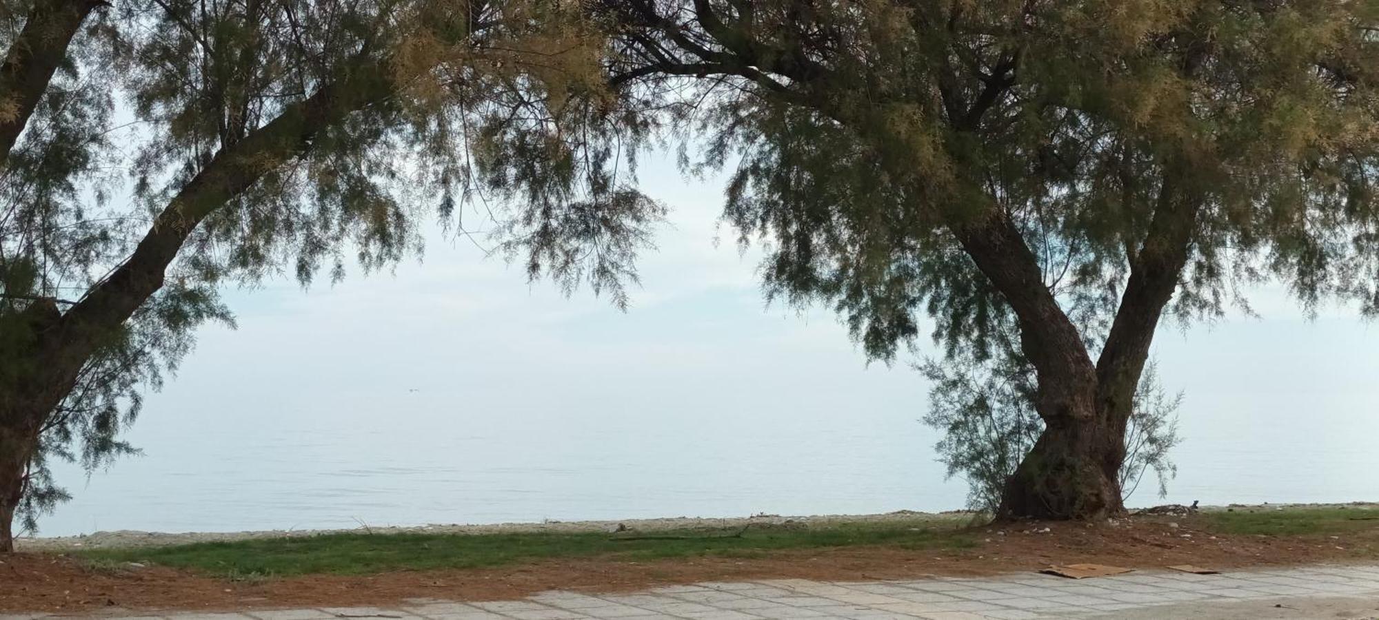 Mana Mia Seaside Apartments Leptokaria Zewnętrze zdjęcie